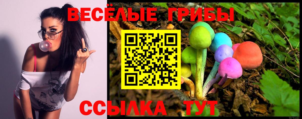 Псилоцибиновые грибы прущие грибы  Псилоцибиновые грибы Cubensis  Рассказово  Вход с VPN 